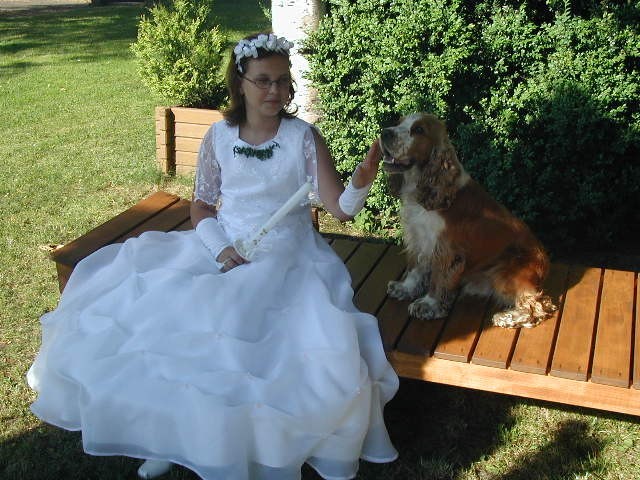 já fido.jpg